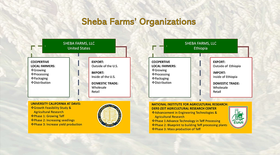 About Us | Sheba Farms